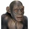 Cheapest 👍 Adult Blake Ape Mask ⌛