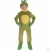 Flash Sale 💯 Adult Frog Mascot 😍