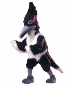 Cheap 😍 Adult Roadrunner Costume 👏