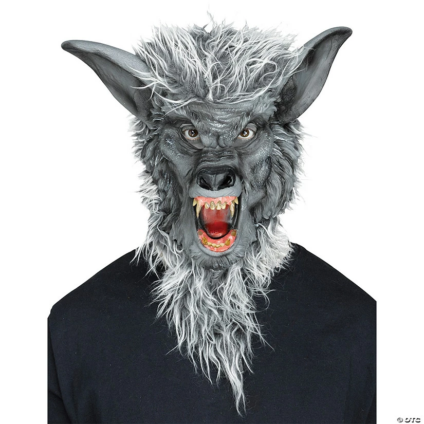 Flash Sale β Animal Masks π