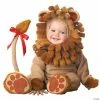 Discount 🎉 Baby Lil' Lion Costume ✨