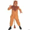 Best Sale 🛒 Boy's Wizard of Oz Cowardly Lion Costume - Large 🧨