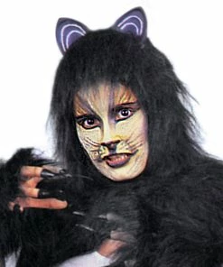 Best Sale โ Cat Accessory Pack Black Pet Costume ๐งจ