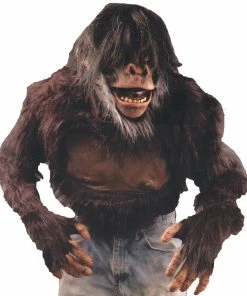 Best reviews of ⭐ Chimp 👚 Shirt 🔥