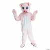 Buy 😀 Pig Mascot Costume Adult 👍