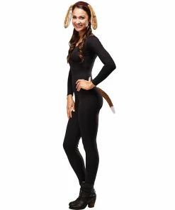 Wholesale 💯 Puppy 🦮 Dog Kit 🔥