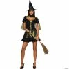 Deals ⭐ Women’s Secret Wishes Wicked Witch Costume 🥰